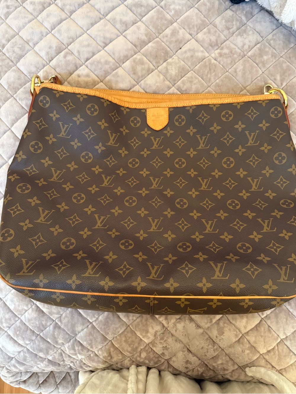 Louis Vuitton delightful Monogram Canvas Shoulder Bag with Vachetta Trim